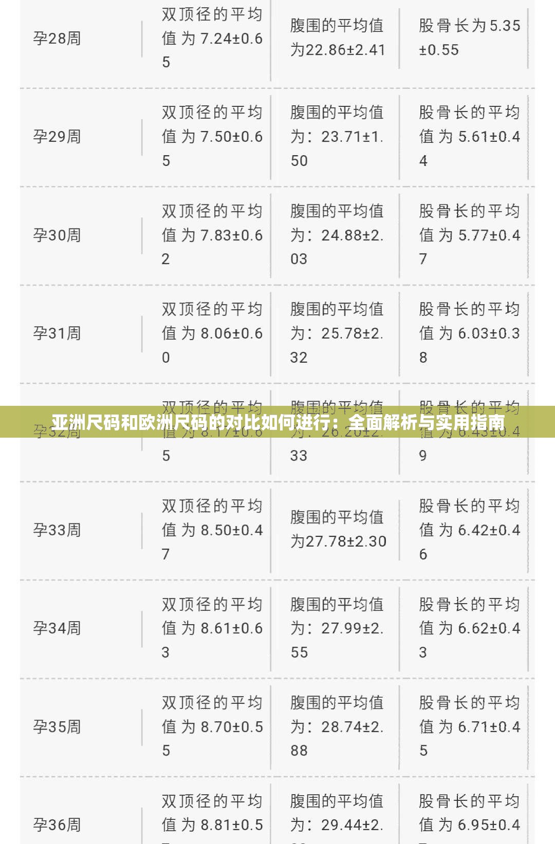 亞洲尺碼和歐洲尺碼的對比如何進(jìn)行：全面解析與實用指南