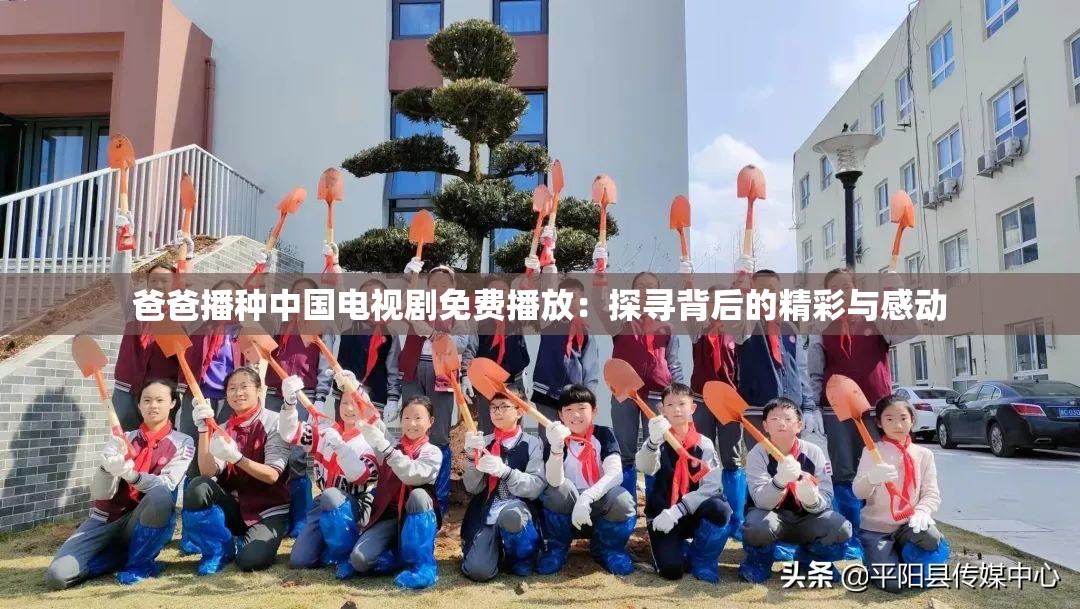 爸爸播種中國電視劇免費播放：探尋背后的精彩與感動