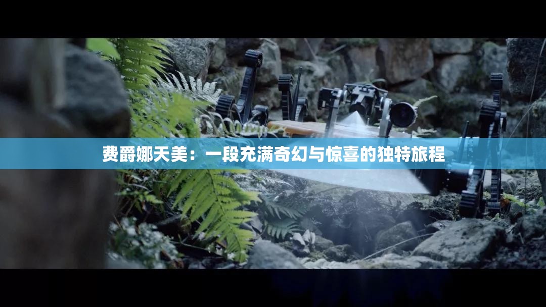 費爵娜天美：一段充滿奇幻與驚喜的獨特旅程