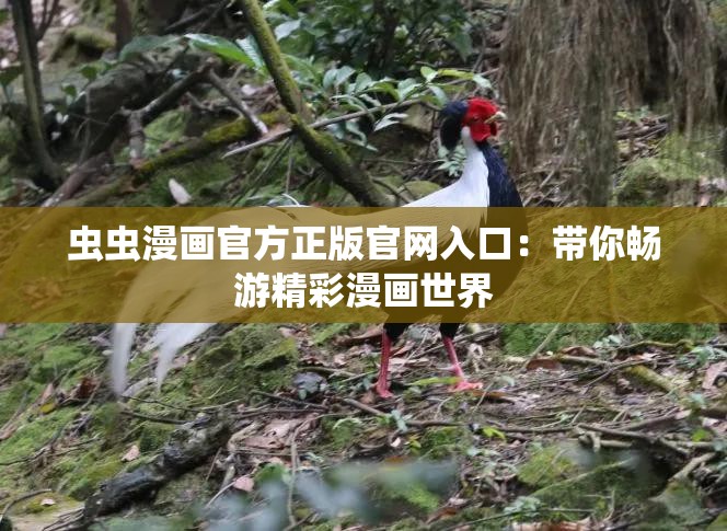 蟲蟲漫畫官方正版官網(wǎng)入口：帶你暢游精彩漫畫世界