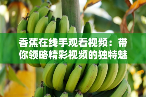 香蕉在線手觀看視頻：帶你領(lǐng)略精彩視頻的獨特魅力