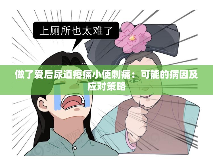 做了愛后尿道疼痛小便刺痛：可能的病因及應對策略