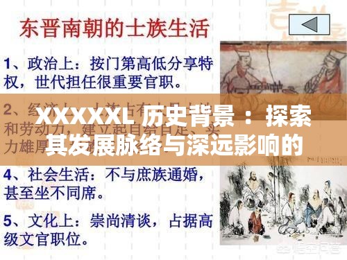 XXXXXL 歷史背景 ：探索其發(fā)展脈絡與深遠影響的歷程