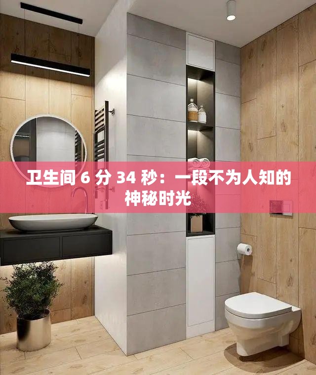 衛(wèi)生間 6 分 34 秒：一段不為人知的神秘時光