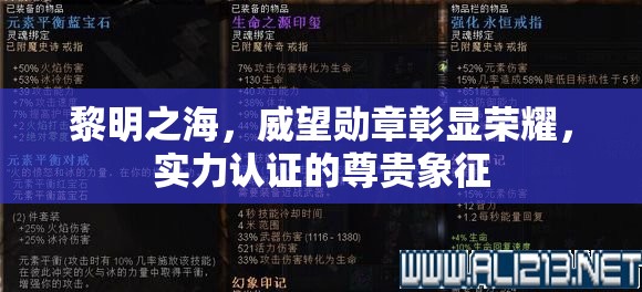 黎明之海，威望勛章彰顯榮耀，實力認(rèn)證的尊貴象征