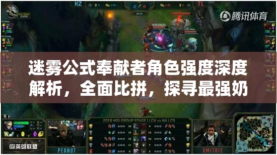迷霧公式奉獻(xiàn)者角色強(qiáng)度深度解析，全面比拼，探尋最強(qiáng)奶媽的真面目