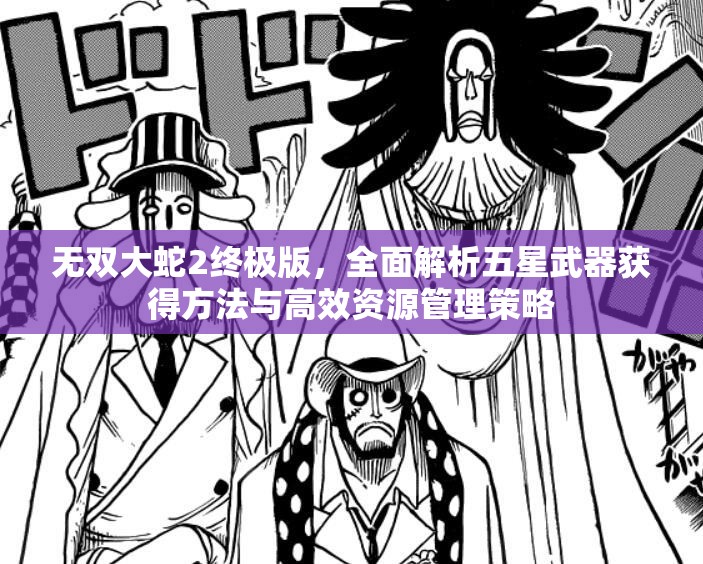 無(wú)雙大蛇2終極版，全面解析五星武器獲得方法與高效資源管理策略