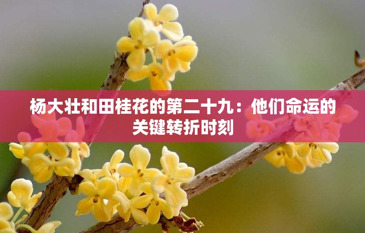 楊大壯和田桂花的第二十九：他們命運的關鍵轉折時刻