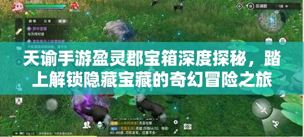 天諭手游盈靈郡寶箱深度探秘，踏上解鎖隱藏寶藏的奇幻冒險(xiǎn)之旅