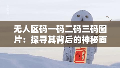 無人區(qū)碼一碼二碼三碼圖片：探尋其背后的神秘面紗
