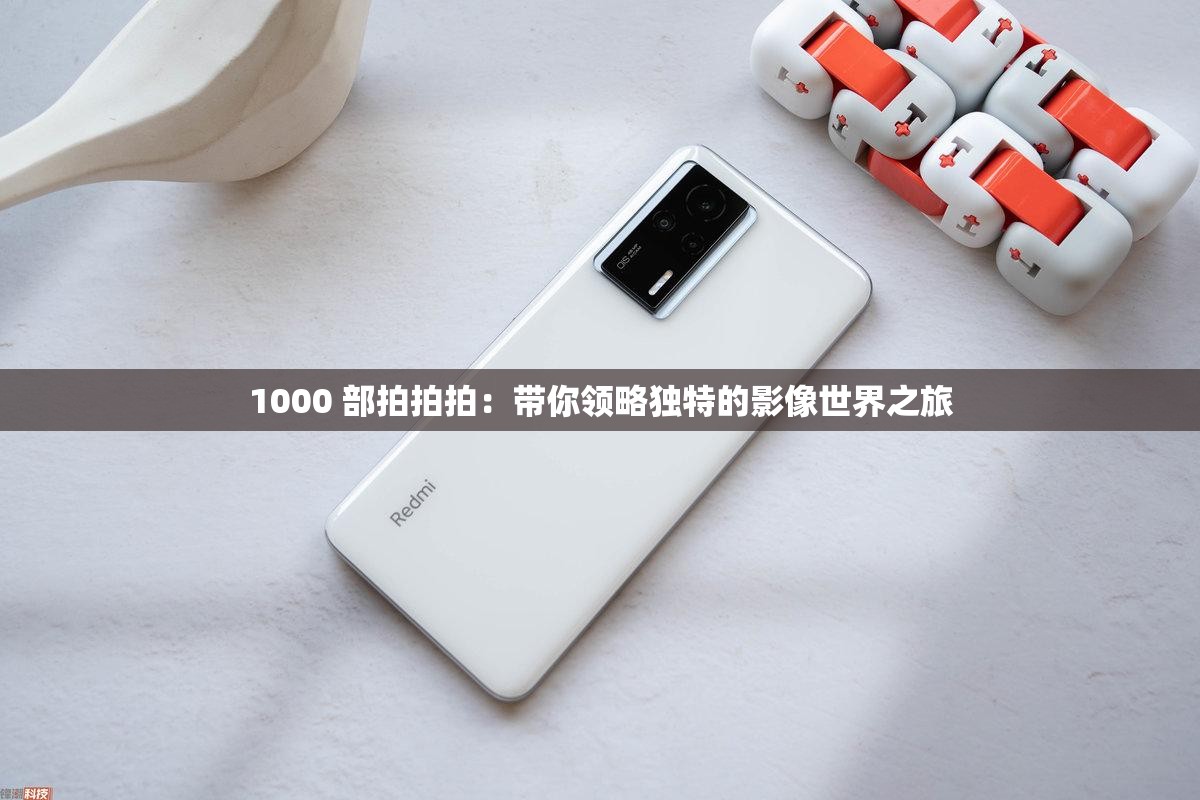 1000 部拍拍拍：帶你領(lǐng)略獨(dú)特的影像世界之旅