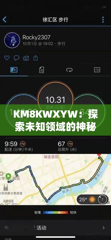 KM8KWXYW：探索未知領域的神秘密碼與獨特標識
