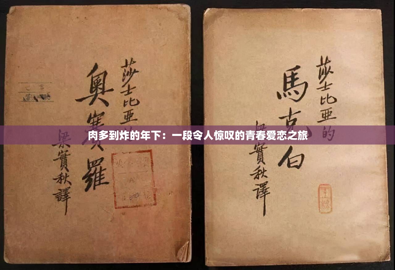 肉多到炸的年下：一段令人驚嘆的青春愛戀之旅