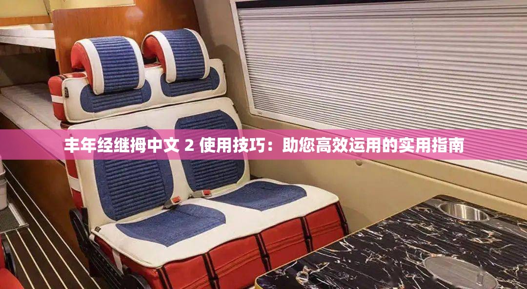 豐年經(jīng)繼拇中文 2 使用技巧：助您高效運用的實用指南