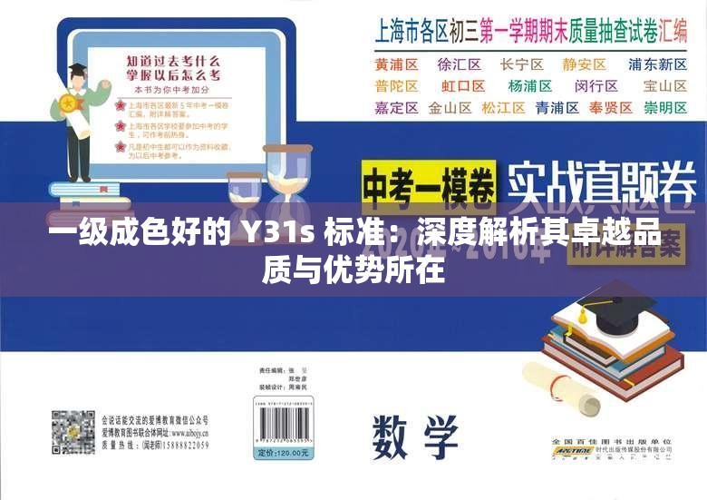 一級成色好的 Y31s 標準：深度解析其卓越品質與優(yōu)勢所在