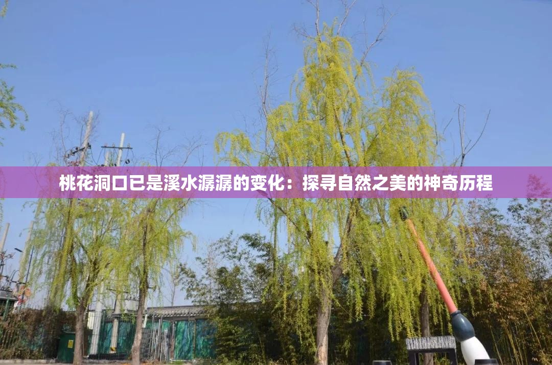 桃花洞口已是溪水潺潺的變化：探尋自然之美的神奇歷程