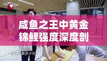咸魚之王中黃金錦鯉強(qiáng)度深度剖析及高效資源管理策略探討