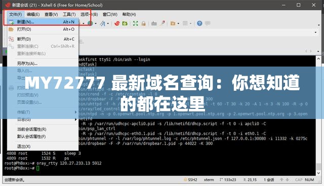 MY72777 最新域名查詢：你想知道的都在這里