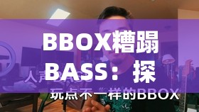 BBOX糟蹋BASS：探尋背后原因及可能的解決之道