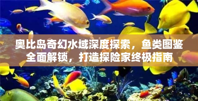 奧比島奇幻水域深度探索，魚類圖鑒全面解鎖，打造探險家終極指南