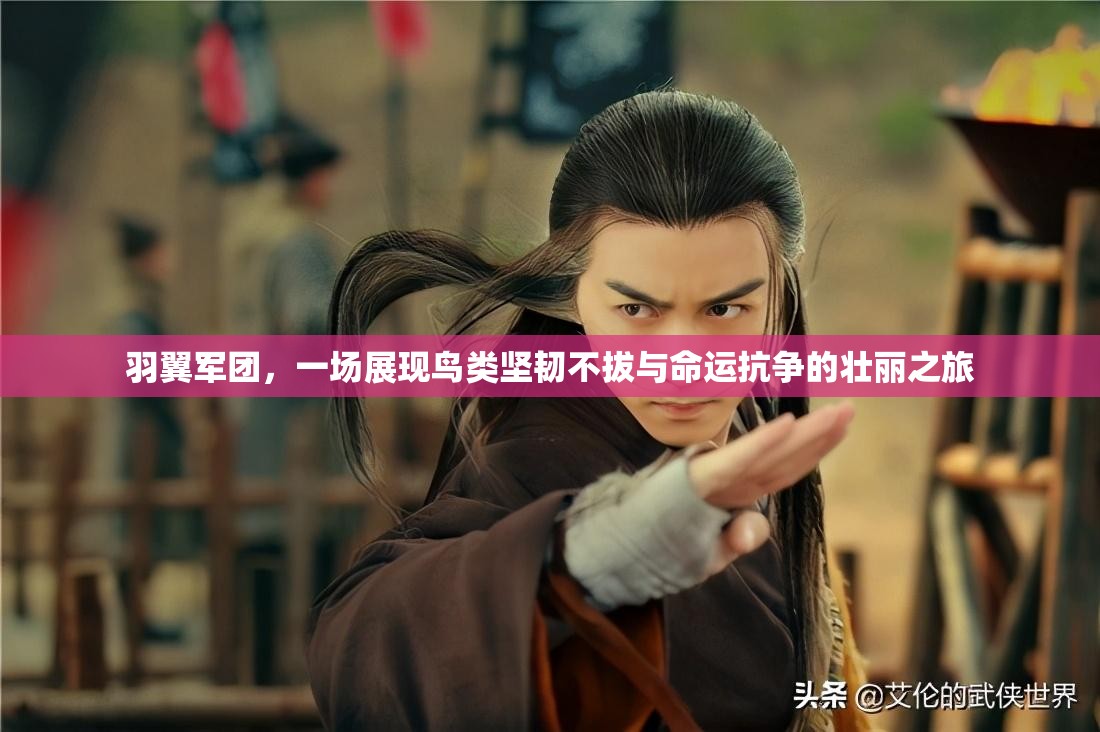 羽翼軍團(tuán)，一場(chǎng)展現(xiàn)鳥(niǎo)類堅(jiān)韌不拔與命運(yùn)抗?fàn)幍膲邀愔? title=