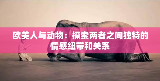 歐美人與動(dòng)物：探索兩者之間獨(dú)特的情感紐帶和關(guān)系