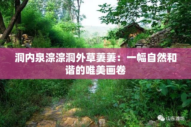 洞內(nèi)泉淙淙洞外草萋萋：一幅自然和諧的唯美畫卷