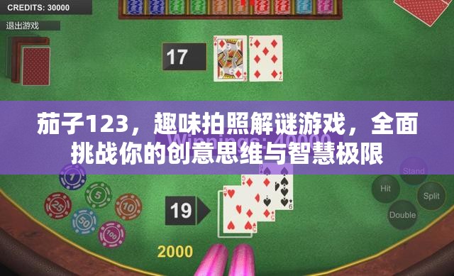 茄子123，趣味拍照解謎游戲，全面挑戰(zhàn)你的創(chuàng)意思維與智慧極限