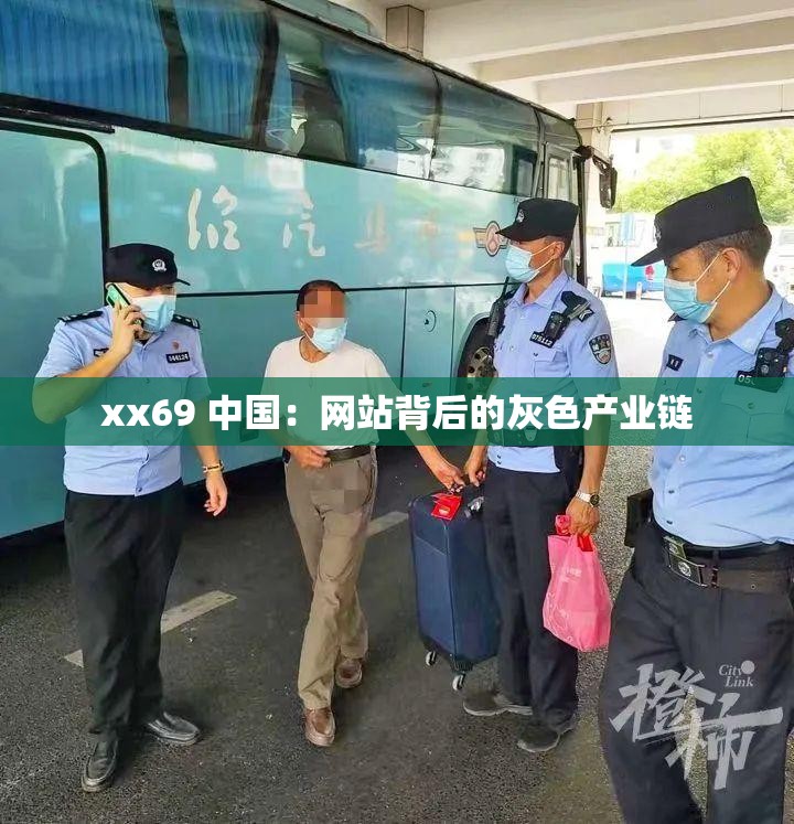 xx69 中國：網站背后的灰色產業(yè)鏈