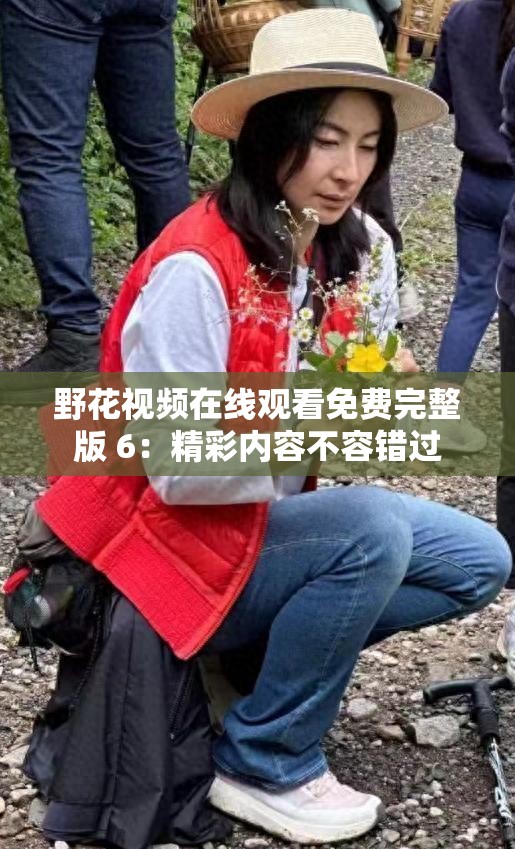 野花視頻在線觀看免費完整版 6：精彩內容不容錯過
