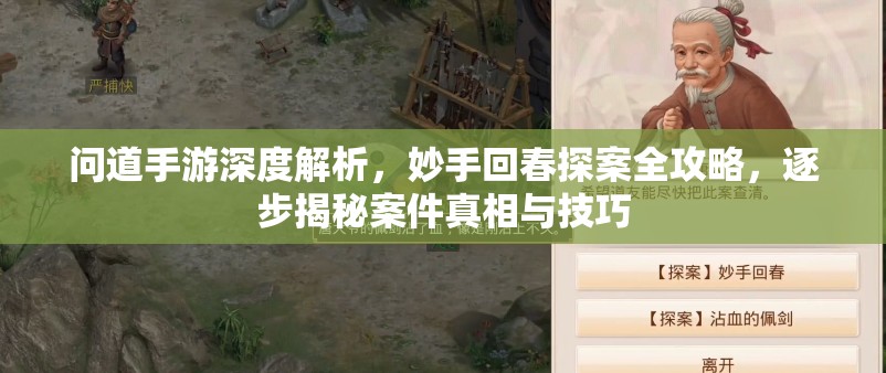 問道手游深度解析，妙手回春探案全攻略，逐步揭秘案件真相與技巧
