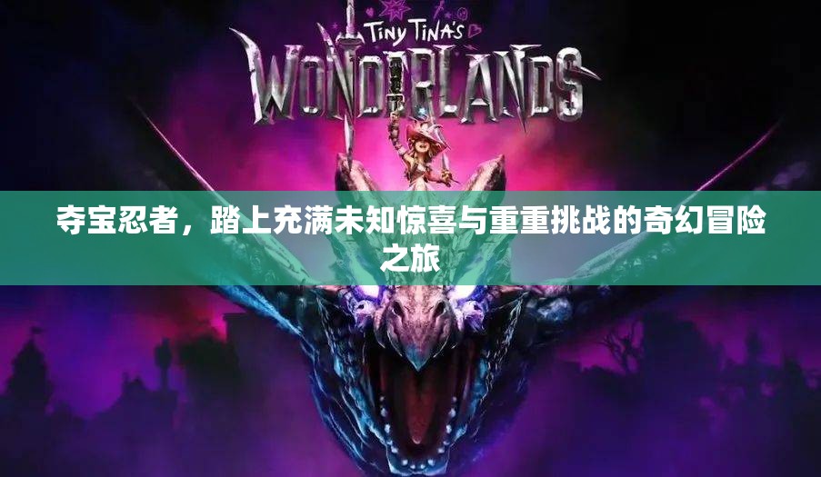 奪寶忍者，踏上充滿未知驚喜與重重挑戰(zhàn)的奇幻冒險之旅