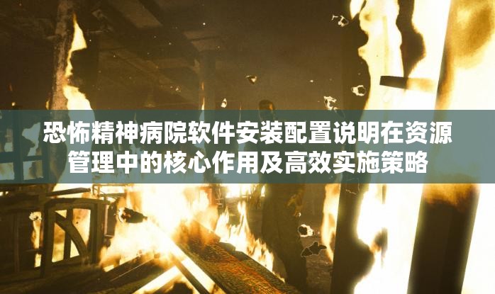 恐怖精神病院軟件安裝配置說明在資源管理中的核心作用及高效實施策略