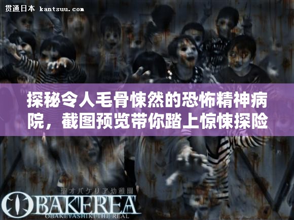 探秘令人毛骨悚然的恐怖精神病院，截圖預覽帶你踏上驚悚探險之旅