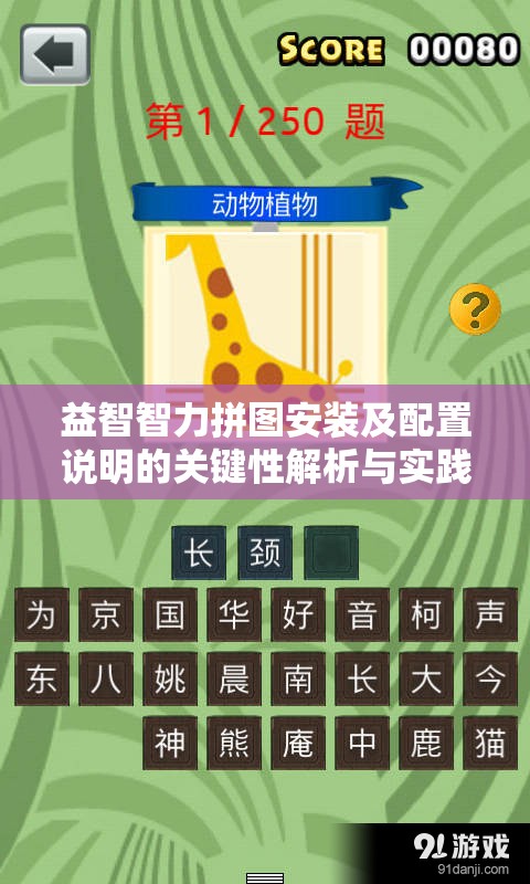益智智力拼圖安裝及配置說明的關(guān)鍵性解析與實(shí)踐操作指南