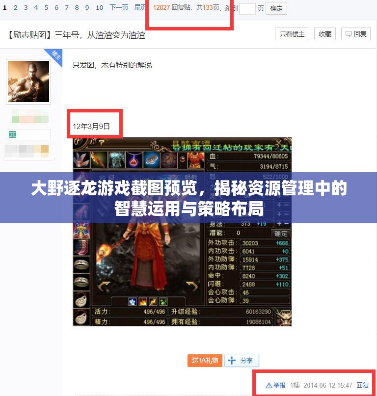 大野逐龍游戲截圖預(yù)覽，揭秘資源管理中的智慧運(yùn)用與策略布局