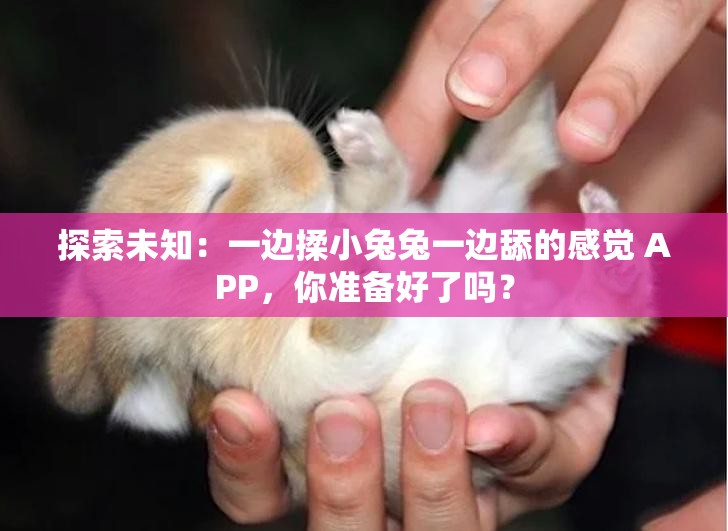 探索未知：一邊揉小兔兔一邊舔的感覺 APP，你準(zhǔn)備好了嗎？