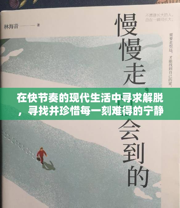 在快節(jié)奏的現(xiàn)代生活中尋求解脫，尋找并珍惜每一刻難得的寧靜