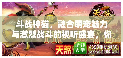 斗戰(zhàn)神貓，融合萌寵魅力與激烈戰(zhàn)斗的視聽盛宴，你準(zhǔn)備好迎接挑戰(zhàn)了嗎？