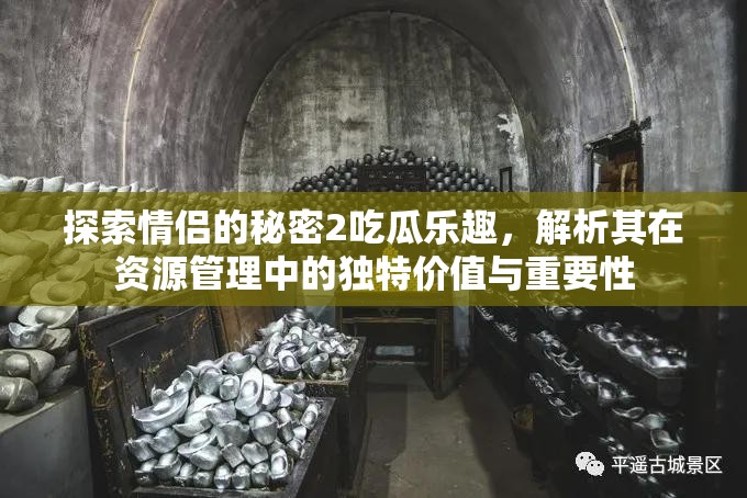 探索情侶的秘密2吃瓜樂趣，解析其在資源管理中的獨特價值與重要性