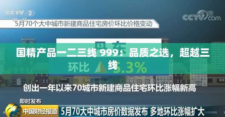 國精產(chǎn)品一二三線 999：品質(zhì)之選，超越三線