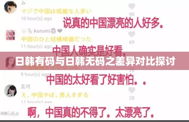 日韓有碼與日韓無碼之差異對比探討