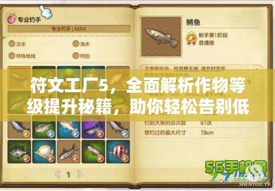 符文工廠5，全面解析作物等級提升秘籍，助你輕松告別低等級作物困擾