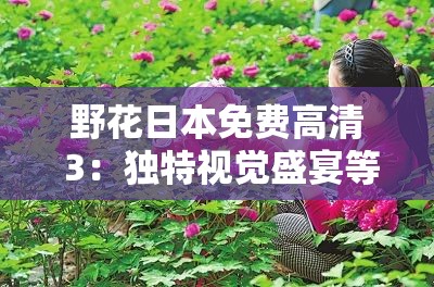 野花日本免費(fèi)高清 3：獨(dú)特視覺盛宴等你來享