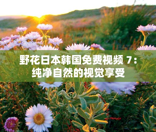 野花日本韓國免費(fèi)視頻 7：純凈自然的視覺享受