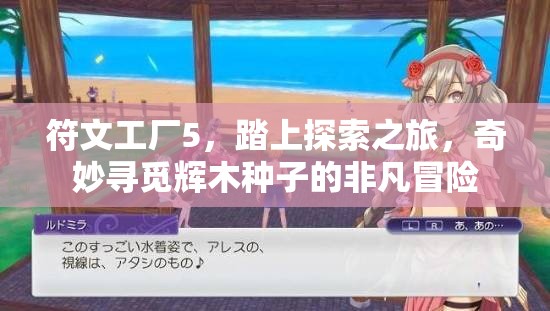 符文工廠5，踏上探索之旅，奇妙尋覓輝木種子的非凡冒險