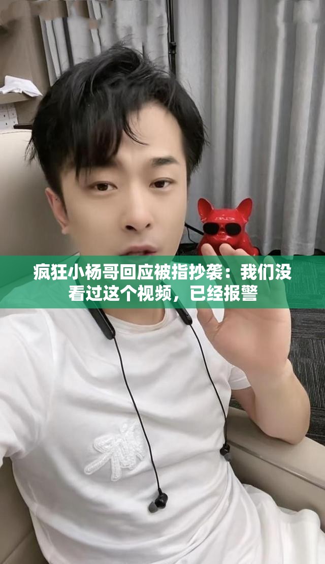 瘋狂小楊哥回應(yīng)被指抄襲：我們沒看過這個視頻，已經(jīng)報警