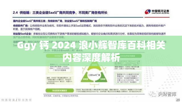 Ggy 鈣 2024 浪小輝智庫百科相關(guān)內(nèi)容深度解析
