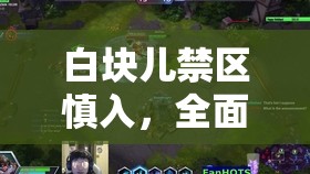 白塊兒禁區(qū)慎入，全面安裝與配置指南，助你輕松駕馭挑戰(zhàn)之旅