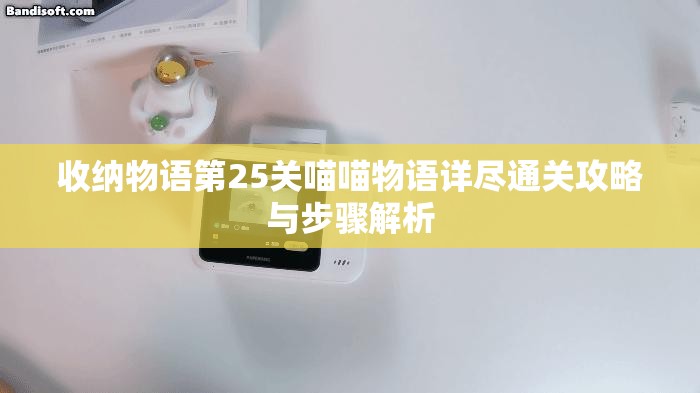 收納物語第25關喵喵物語詳盡通關攻略與步驟解析